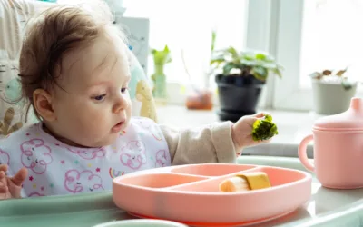 L’importance du fer pour les bébés vegans et végétariens